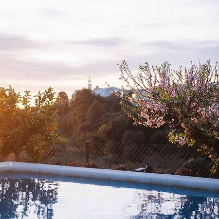 Riurau De Maria Villa Parcent Dış mekan fotoğraf